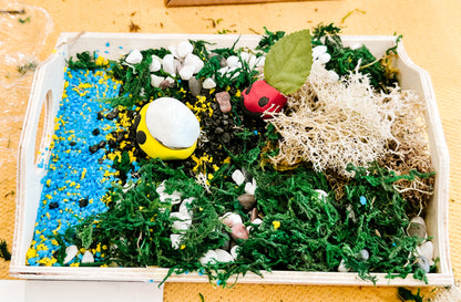 Hahchi Box: Adventuring to Earth