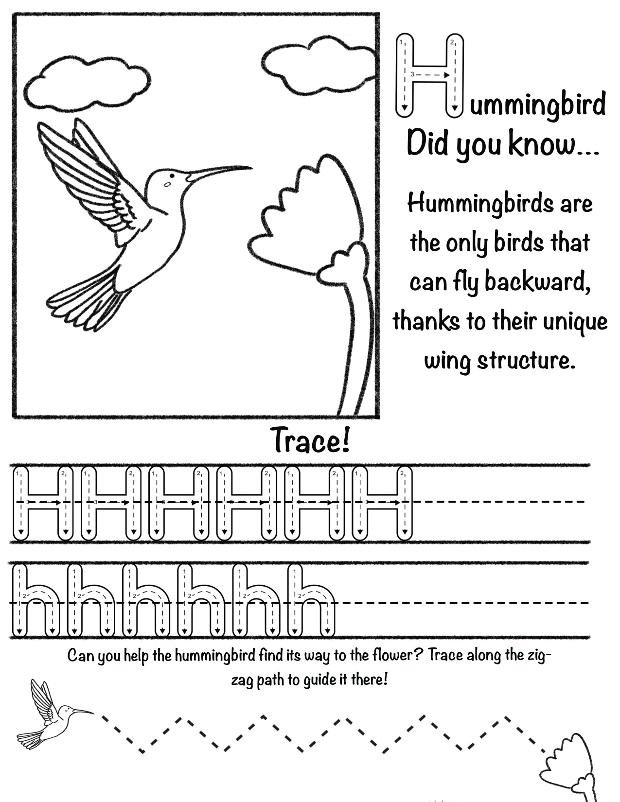 Letter "H"ummingbird Worskheet